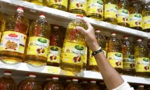Pakistan spends record $3.8bn on palm oil imports