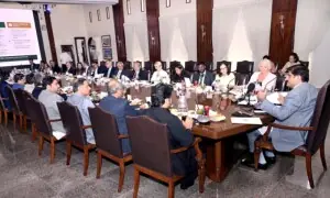 Sindh determined to remove barriers to investment: CM Murad