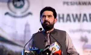 Afridi says PTI exhausted all legal avenues to seek rights