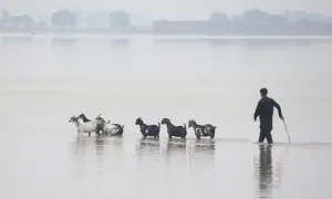 22 villages in Punjab's Multan district partially submerged under floodwaters