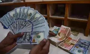 &lsquo;Managed&rsquo; exchange rate hurts exports, investments
