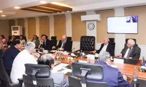 ECC approves urgent 1m-tonne wheat import