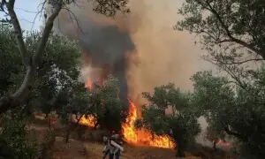 3 firefighters die battling blazes in Greece