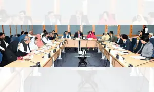 Senate body to seek briefing from NAB chairman on Bhara Kahu housing scheme