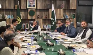 Task force begins work on strategy to promote Gandhara heritage