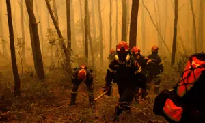 Wildfires push firefighters to the limit in Greece