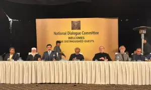 National Dialogue Committee backs Naqvi&rsquo;s demand for &lsquo;restructuring&rsquo; administrative set-up