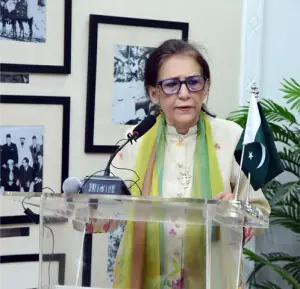 &lsquo;Kashmiris have suffered no less heartbreaking violence than Gaza&rsquo;