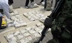 93 drug traffickers arrested in two weeks across Punjab