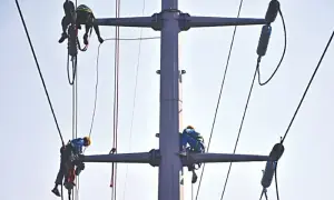 Investors seek tariff guarantees before bidding for Discos