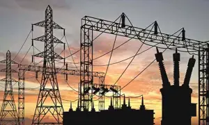 Domestic, foreign investors show interest in Fesco privatisation: privatisation commission