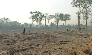 Land revenue dept told to expedite division of joint holdings in Rawalpindi