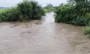 Drain breach inundates several Sambrial villages