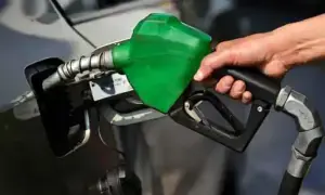 Govt rejects petroleum dealers&rsquo; monthly pricing demand