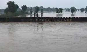Chenab, Ravi nullahs may enter high flood category