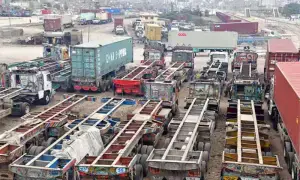Govt opts for high-level talks as strike by truckers, edible oil transporters strains ports