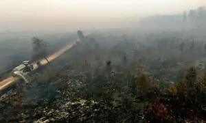 Farmers, helicopters help battle record Belgian wildfire