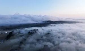 Farmers, helicopters help battle record Belgian wildfire