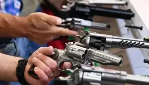 Punjab tells arms dealers to make digital inventories