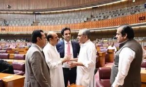 Constituency issues dominate NA session