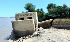 93 schools housed in dangerous buildings in Larkana to be relocated