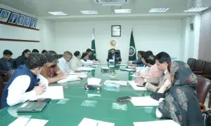 Steps reviewed to reduce patient burden on Pims