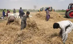 Farmers call for &lsquo;agriculture emergency&rsquo; in Balochistan