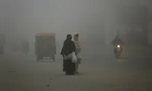 Circular bio-economy and smog crisis