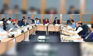 Senate panel orders FIR over Pims nursery fire