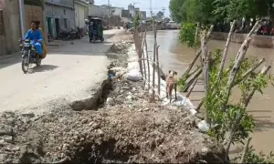 Erosion of canal&rsquo;s protective walls sows fear of flooding among Badin residents