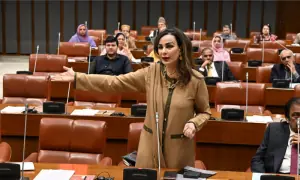 Sherry Rehman raises alarm over child abuse crisis