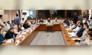O/A Level papers leak likely originated abroad, NA committee told