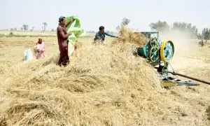 The economics behind farmers&rsquo; growing discontent