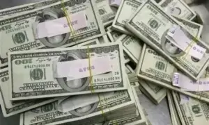 Foreign loan inflows rise 24pc in July-August