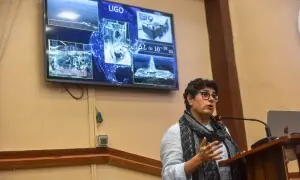 Astrophysicist Dr Nergis Mavalvala explains how scientists &lsquo;listen&rsquo; to the universe