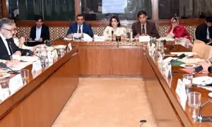 Senate body orders probe into &lsquo;overcharging&rsquo; by telco