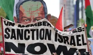 Palestine in focus