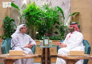 Saudi crown prince, UAE vice president meet in Riyadh: official media