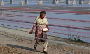 Lahorites to celebrate 10-day Basant fest