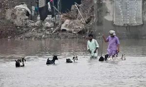 Punjab PDMA&rsquo;s report on monsoon: 65 people died and 382 injured, whereas 224 houses damaged