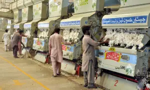 Cotton production moderates amid heatwave concerns