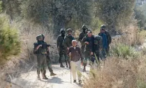 Israeli forces help settlers seize olive groves in occupied West Bank