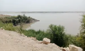 &lsquo;Emerging island&rsquo; threatens Moria Loop Bund in Indus