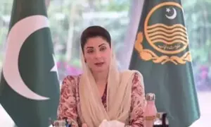 Each district of Punjab to have a parks and horticulture authorities