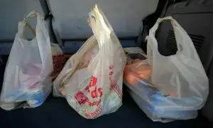 State minister vows to make Islamabad plastic free by Dec 31