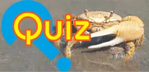 Quiz: Animal regeneration
