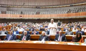 Joint sitting of Parliament endorses emergency, governor's rule in KP amid opposition outcry