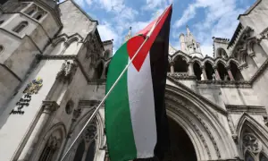 Wife of UK PM top adviser in row over Palestine Action post