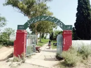 &lsquo;Ghost&rsquo; employees in Dir, Bajaur health, education depts face action