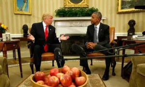 'Never seen a president excel in straight-up grifting': Obama unloads on Trump ahead of US midterms